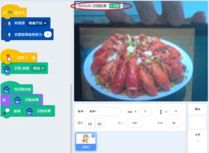 人工智能插件在物體識(shí)別與軟件開發(fā)中的創(chuàng)新應(yīng)用